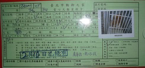 圖檔