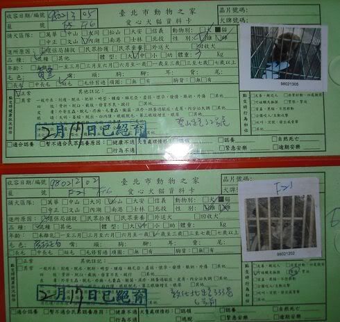 圖檔