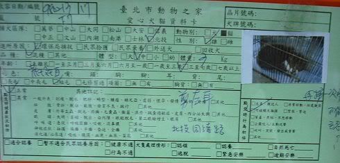 圖檔