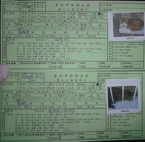圖檔