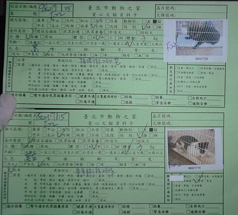 圖檔
