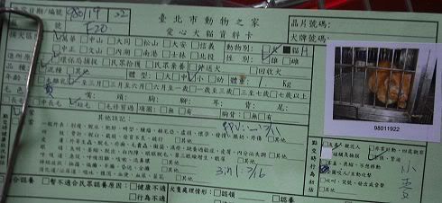 圖檔