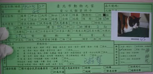 圖檔