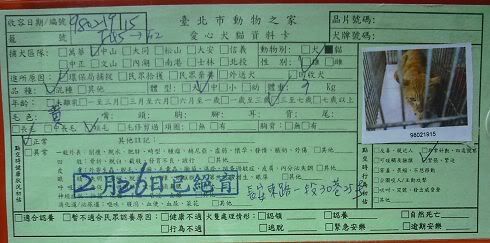 圖檔