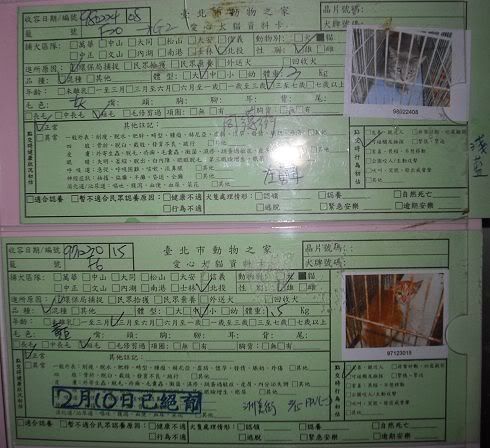 圖檔