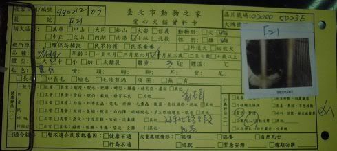 圖檔