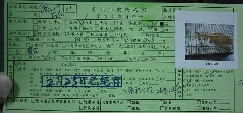 圖檔