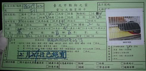 圖檔