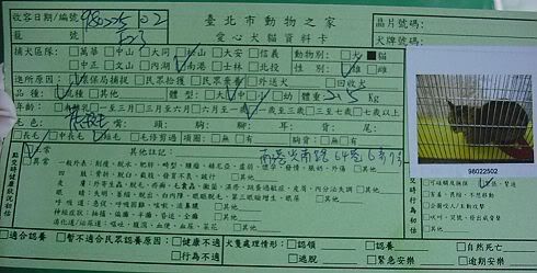 圖檔