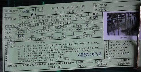 圖檔