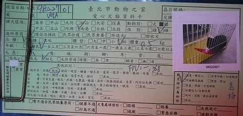 圖檔