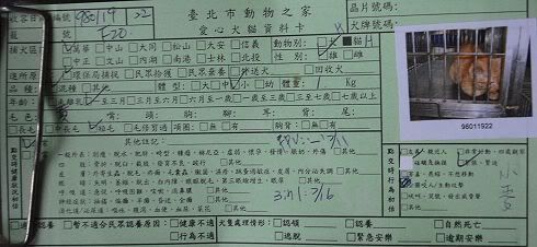 圖檔