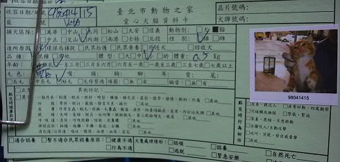 圖檔