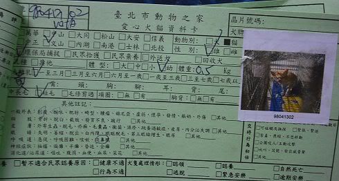 圖檔