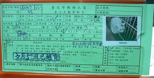 圖檔