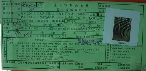 圖檔