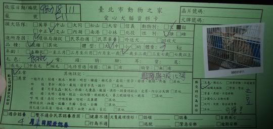 圖檔