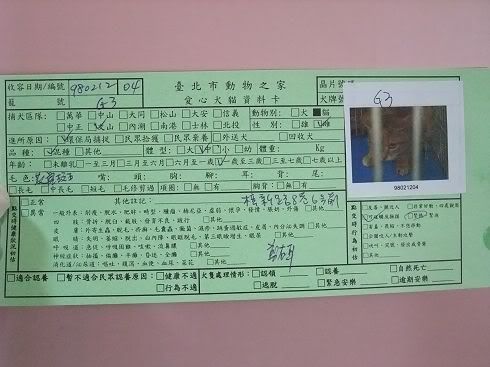 圖檔