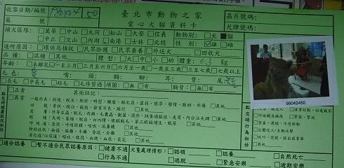圖檔