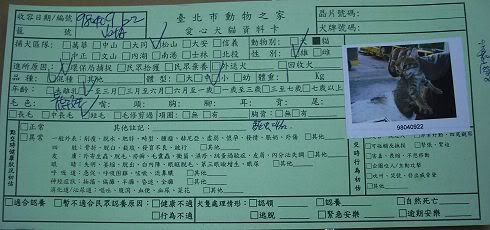 圖檔