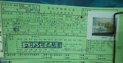 圖檔