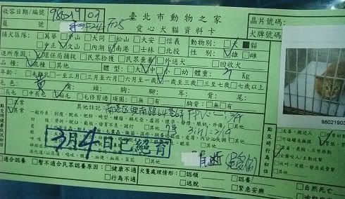 圖檔