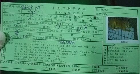 圖檔