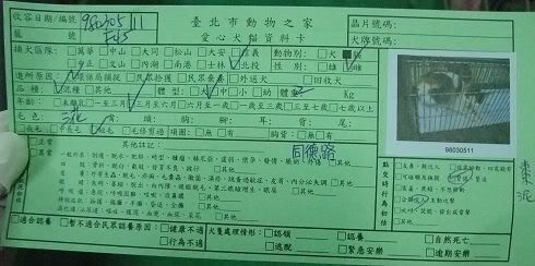 圖檔