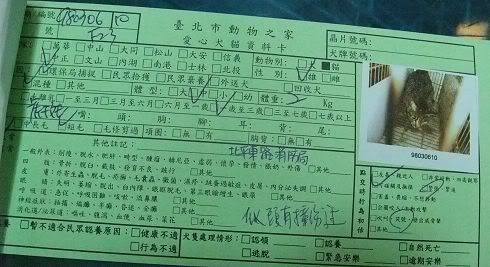 圖檔