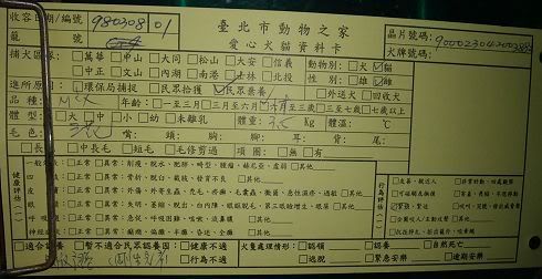 圖檔