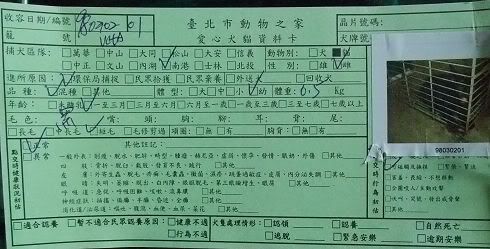圖檔