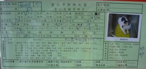 圖檔
