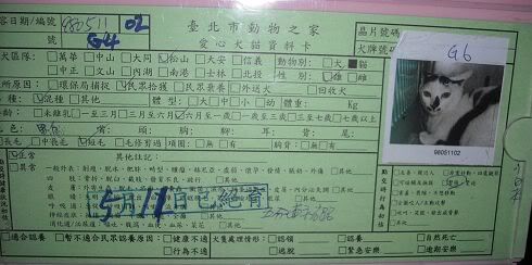 圖檔