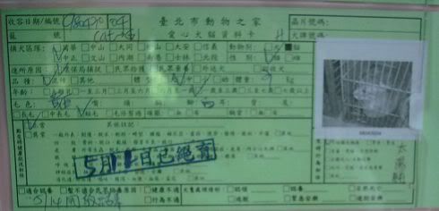 圖檔