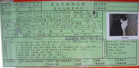 圖檔