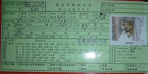 圖檔
