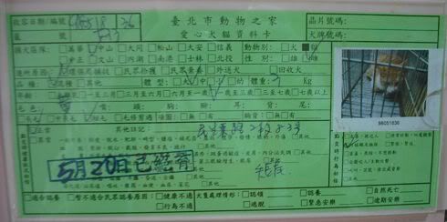 圖檔