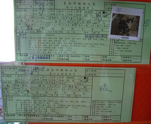 圖檔