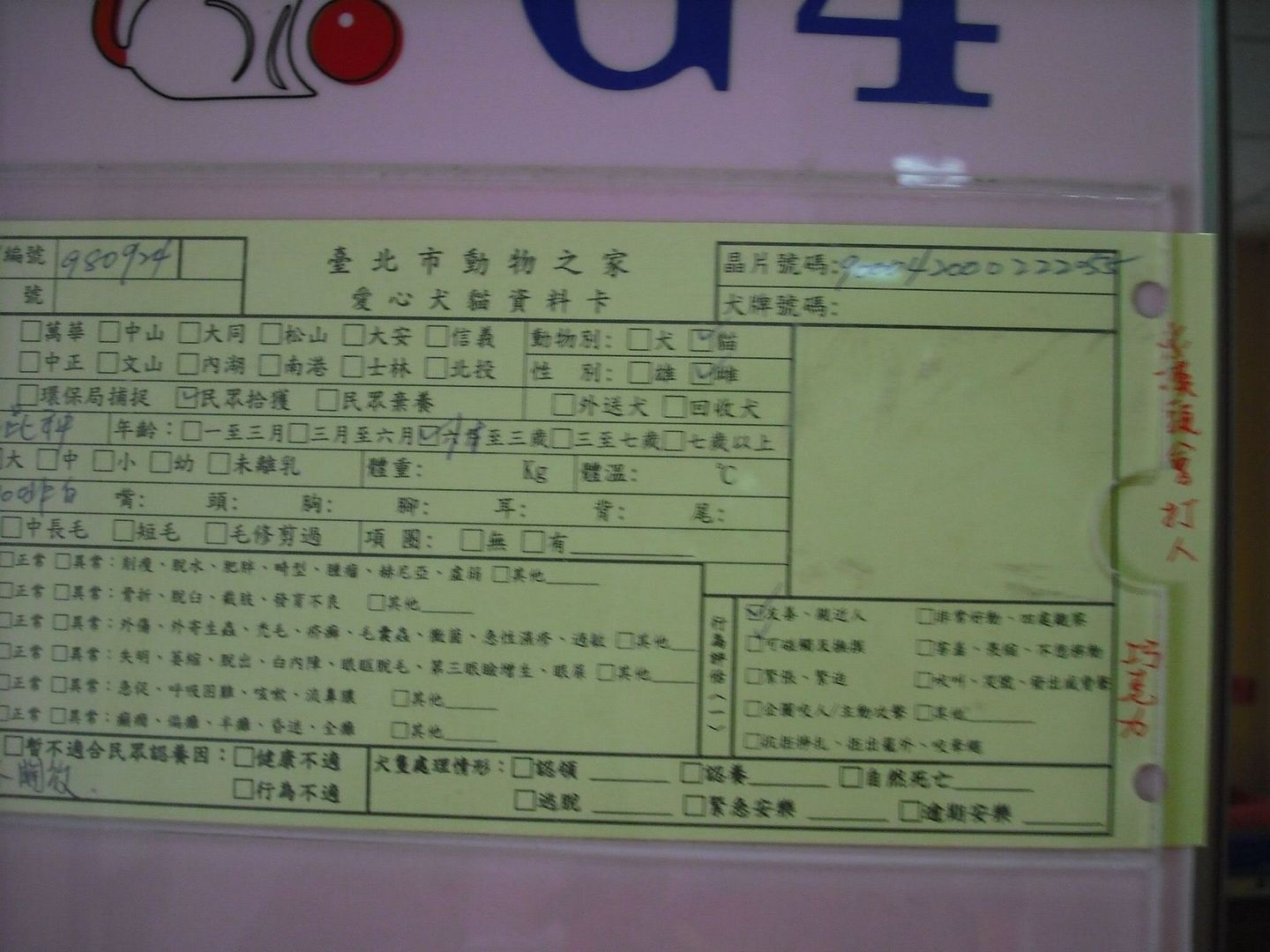 圖檔