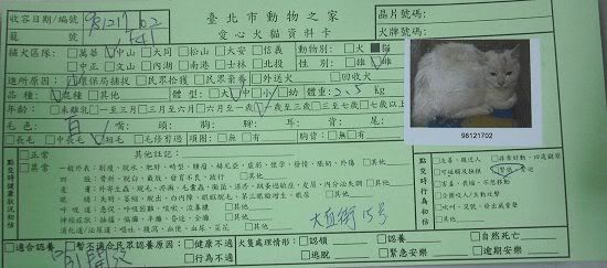 圖檔