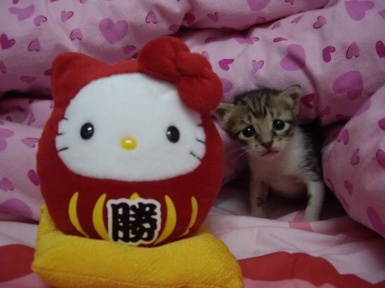 圖檔