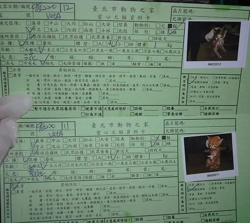 圖檔
