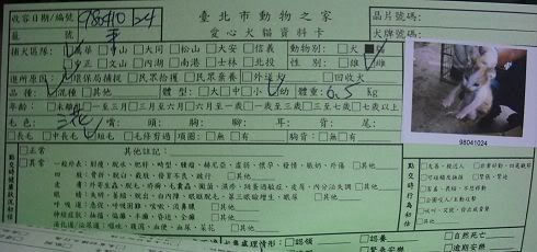 圖檔
