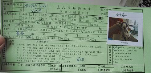 圖檔