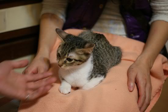 圖檔