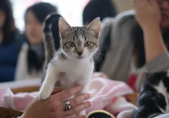 圖檔