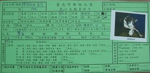 圖檔