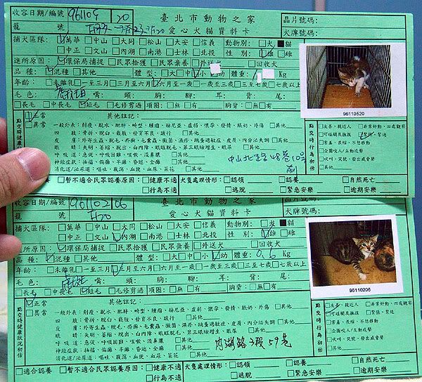 圖檔