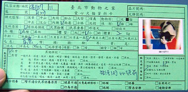 圖檔