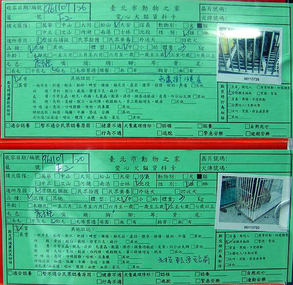 圖檔